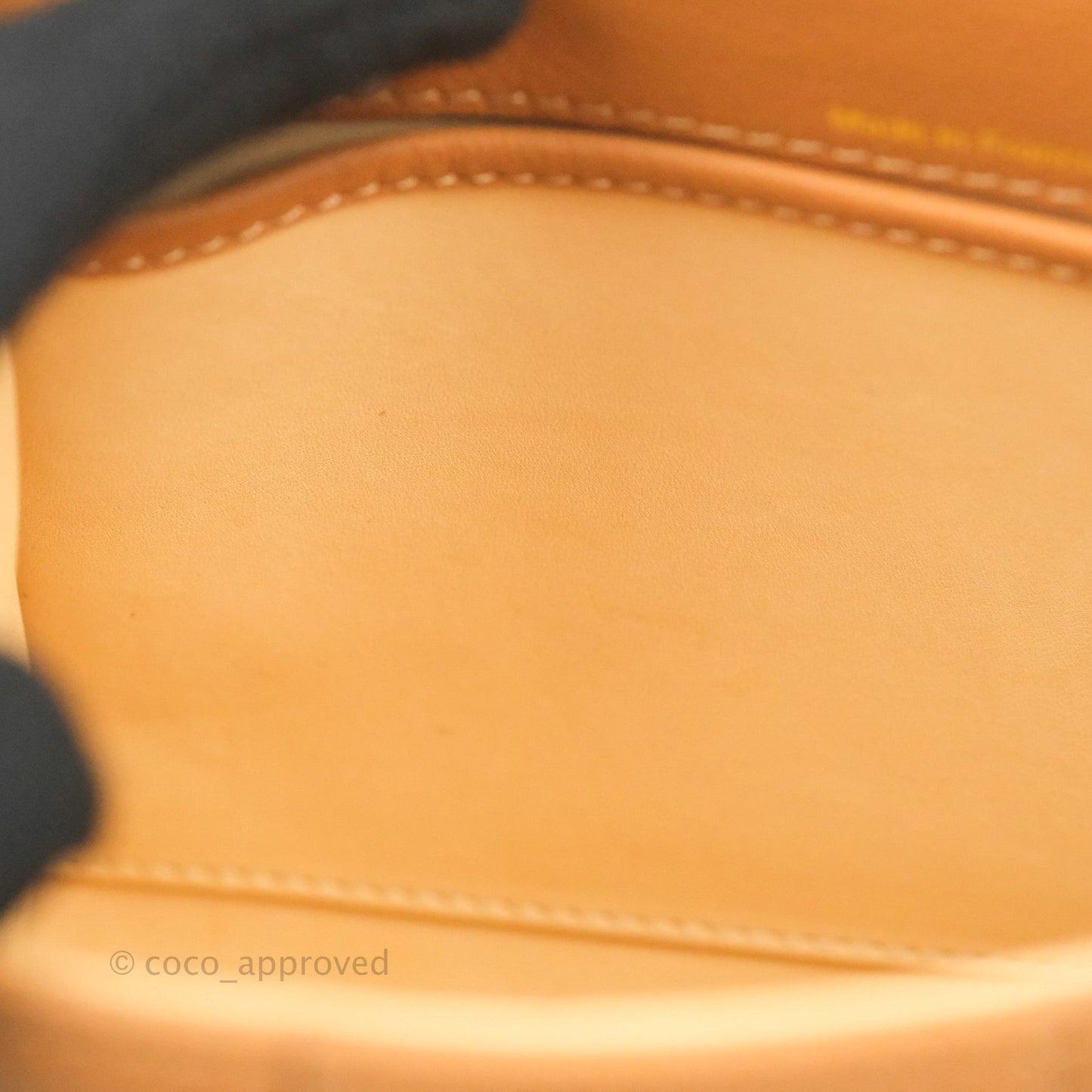 Delvaux Mini Brillant Bag Vegetal Rodeo Calf Gold Hardware