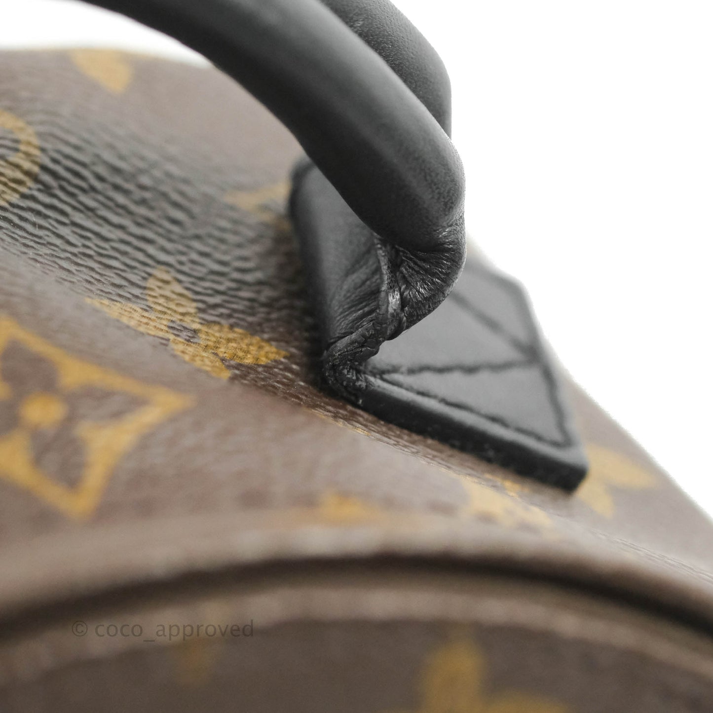 Louis Vuitton Monogram Mini Palm Springs Backpack⁣