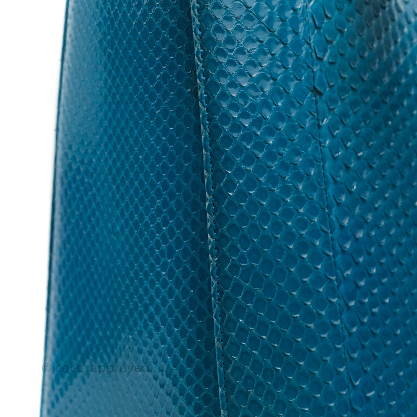 Christian Dior Large Lady Dior Python Blue Silver Hardware