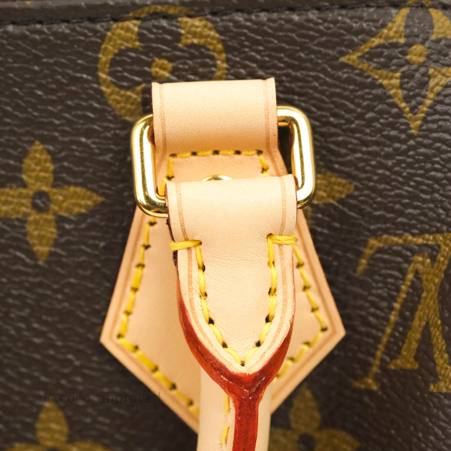 Louis Vuitton Speedy Bandoulière 20 Monogram