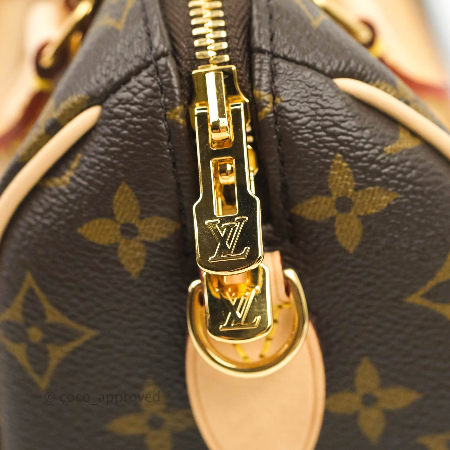 Louis Vuitton Speedy Bandoulière 20 Monogram