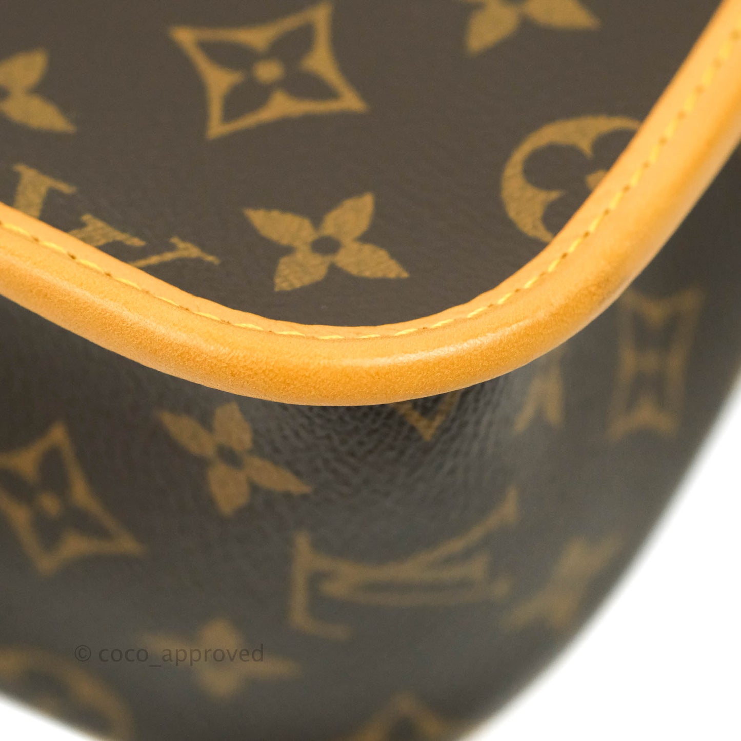 Louis Vuitton Diane Satchel Monogram Canvas with Jacquard Strap