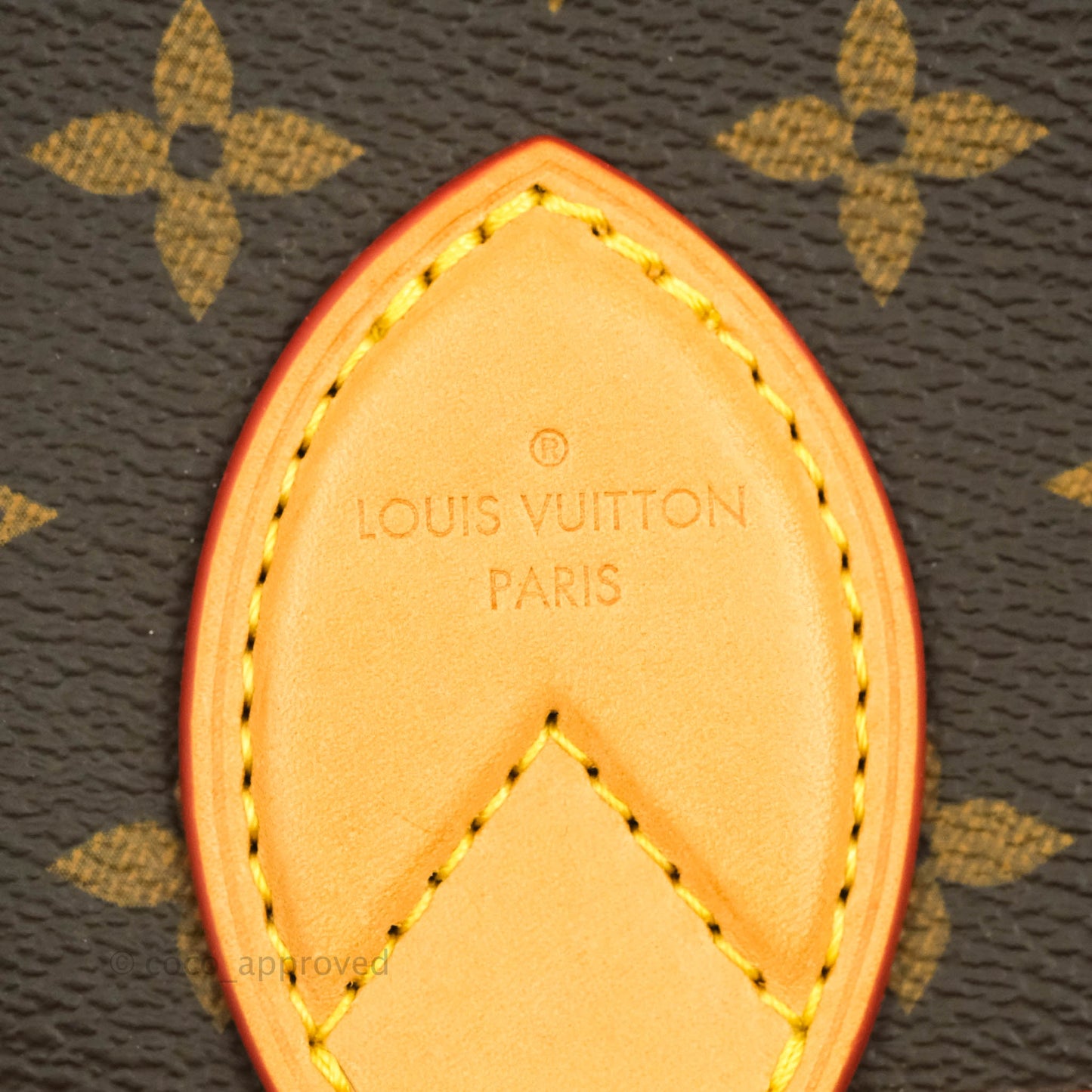 Louis Vuitton Diane Satchel Monogram Canvas with Jacquard Strap