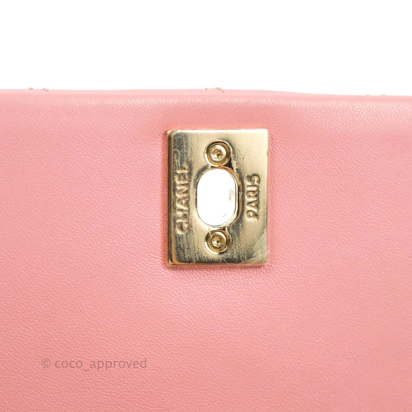 Chanel Citizen Chic Mini Flap Bag Pink Lambskin Gold Hardware