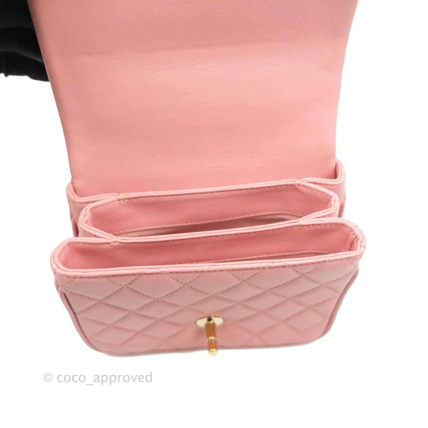 Chanel Citizen Chic Mini Flap Bag Pink Lambskin Gold Hardware