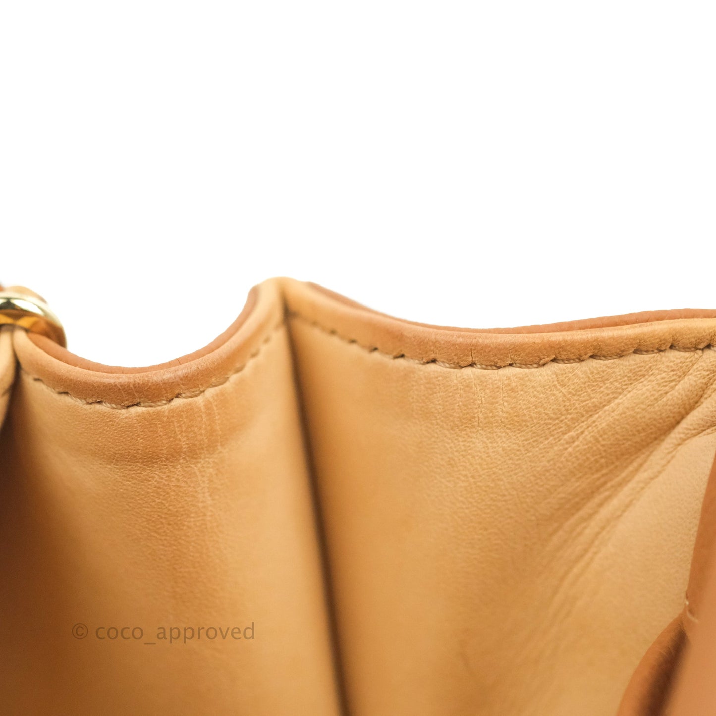 Delvaux Mini Brillant Bag Vegetal Rodeo Calf Gold Hardware