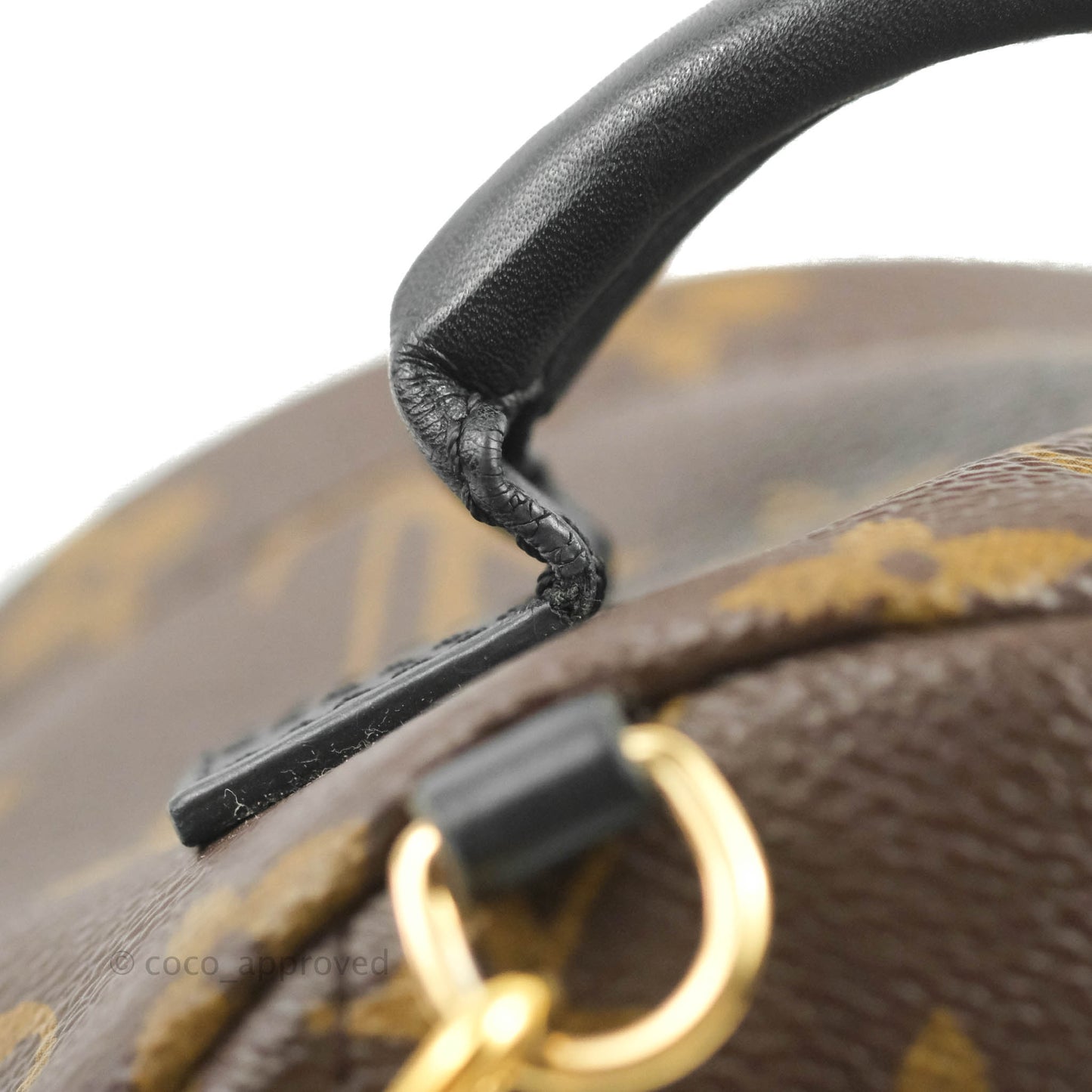 Louis Vuitton Monogram Mini Palm Springs Backpack⁣