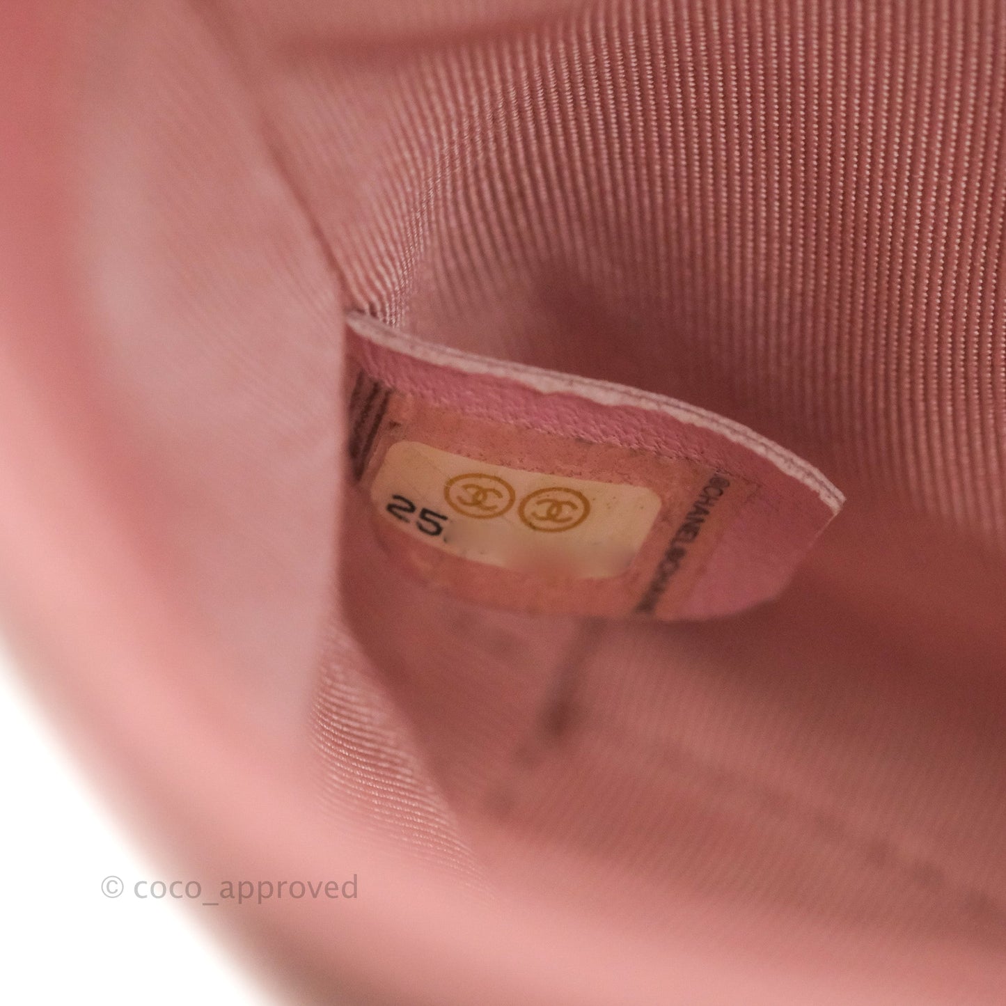 Chanel Citizen Chic Mini Flap Bag Pink Lambskin Gold Hardware