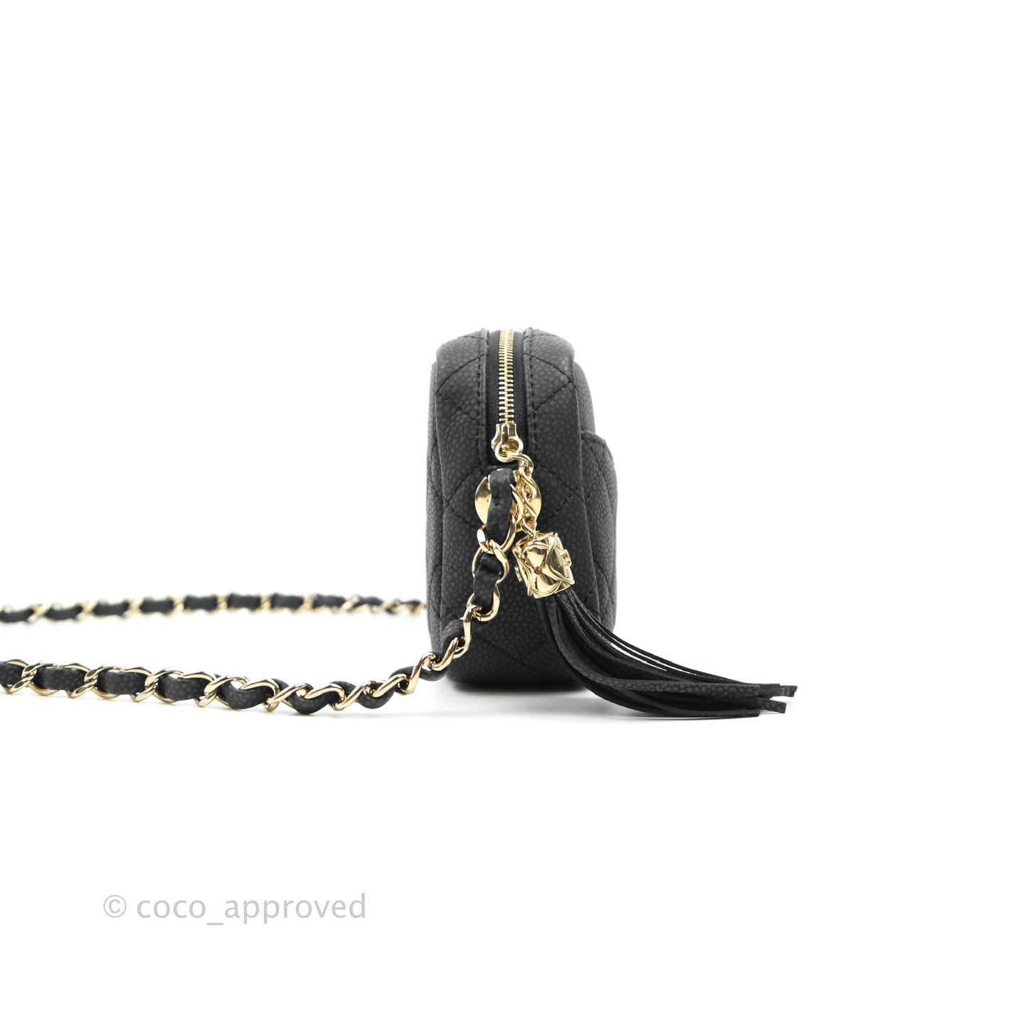 Chanel Camera Bag Black Caviar Gold Hardware