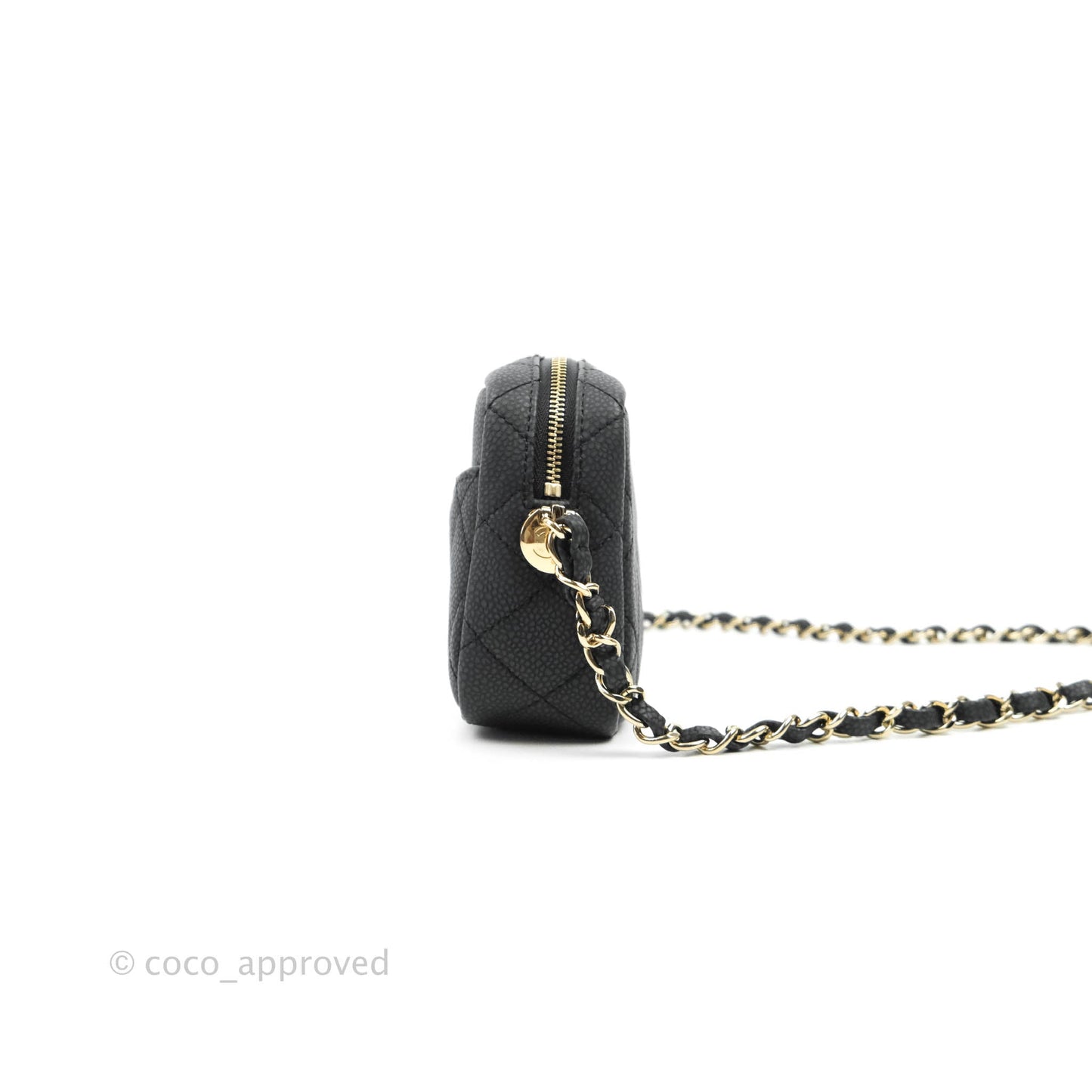 Chanel Camera Bag Black Caviar Gold Hardware