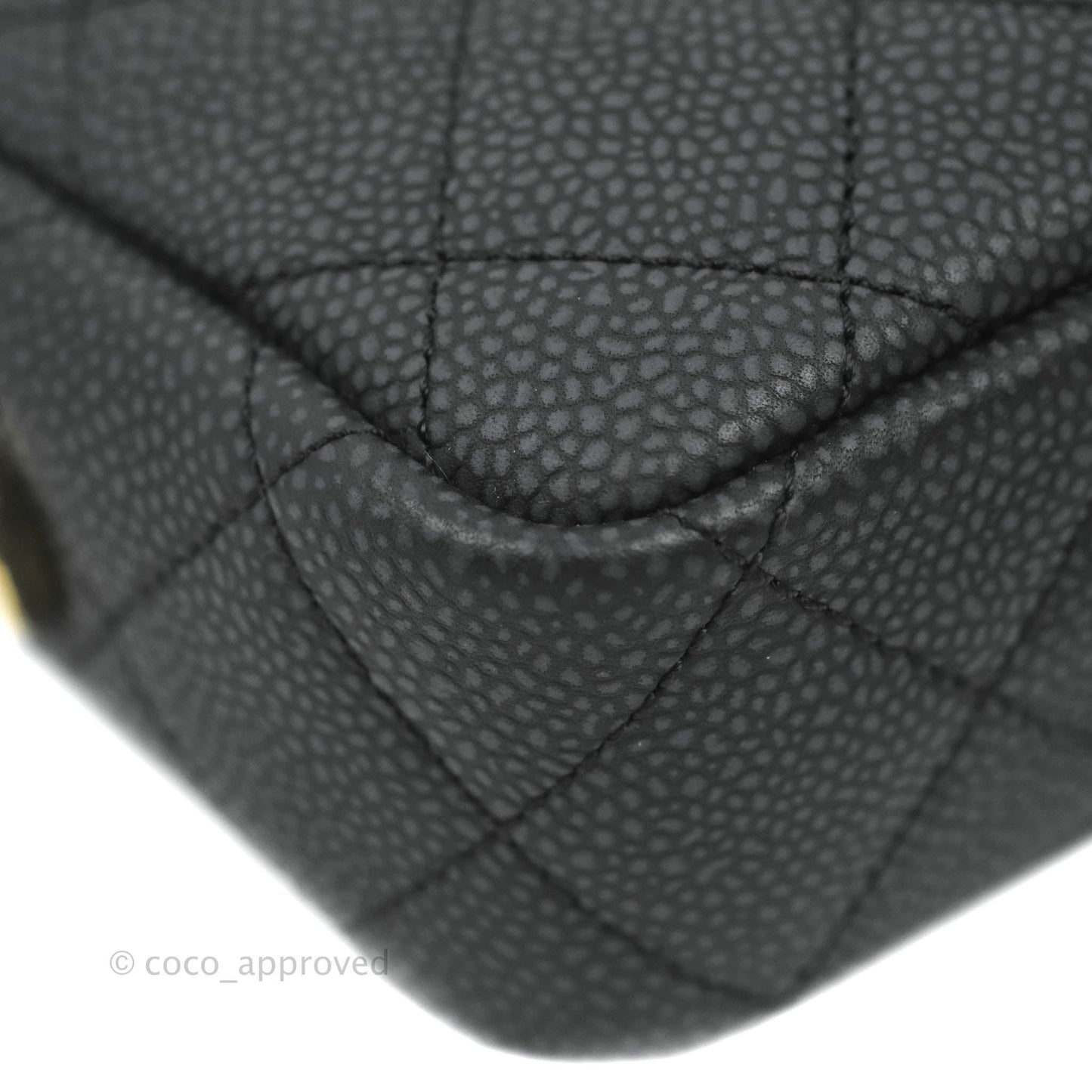 Chanel Camera Bag Black Caviar Gold Hardware