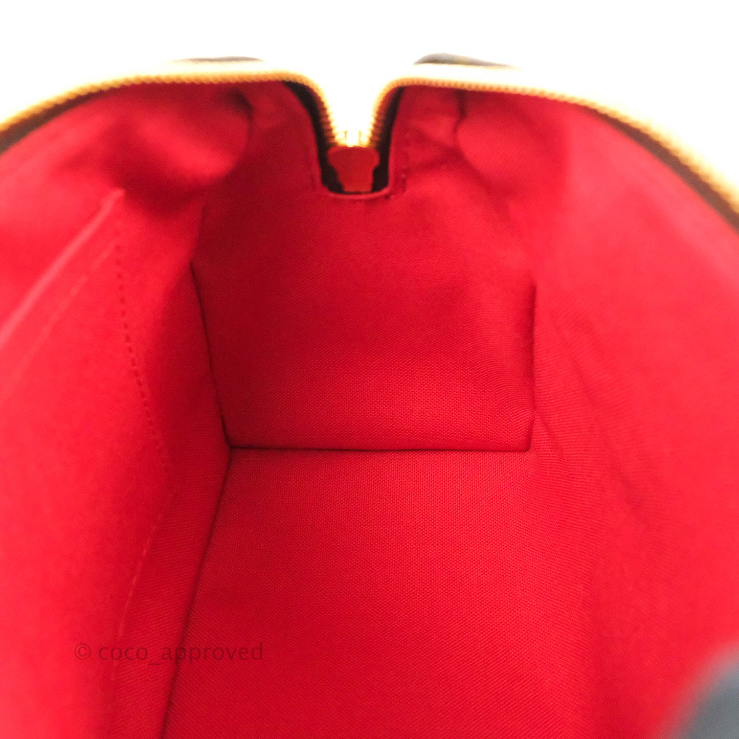 Louis Vuitton Speedy Bandoulière 20 Monogram