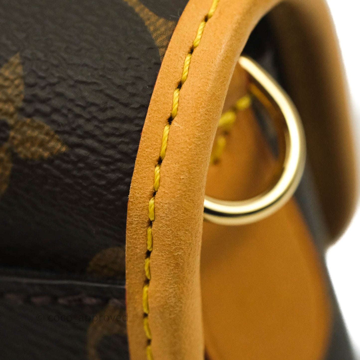 Louis Vuitton Diane Satchel Monogram Canvas with Jacquard Strap