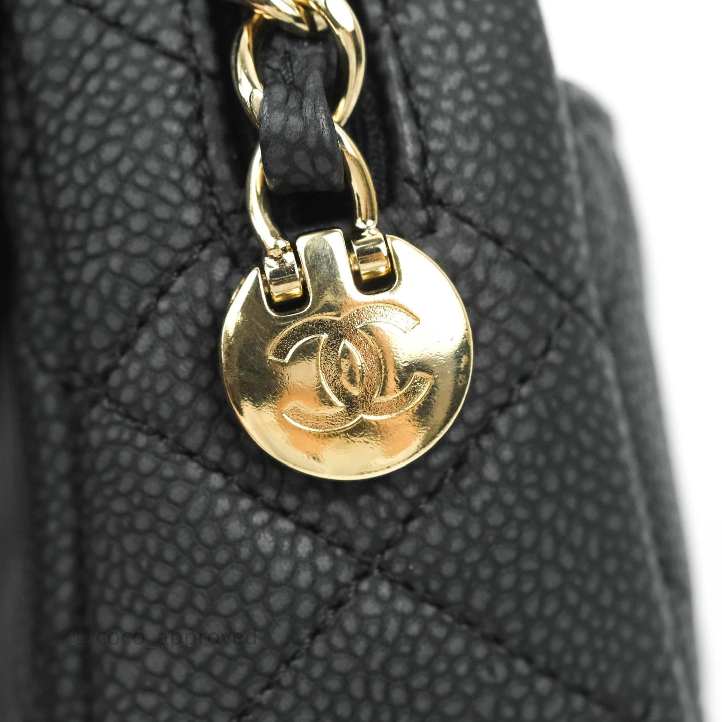 Chanel Camera Bag Black Caviar Gold Hardware