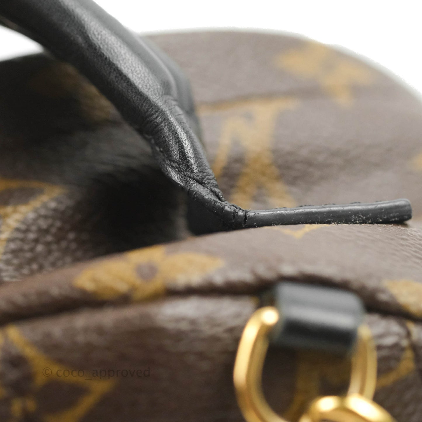 Louis Vuitton Monogram Mini Palm Springs Backpack⁣