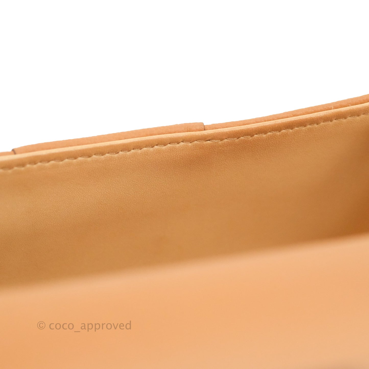 Delvaux Mini Brillant Bag Vegetal Rodeo Calf Gold Hardware