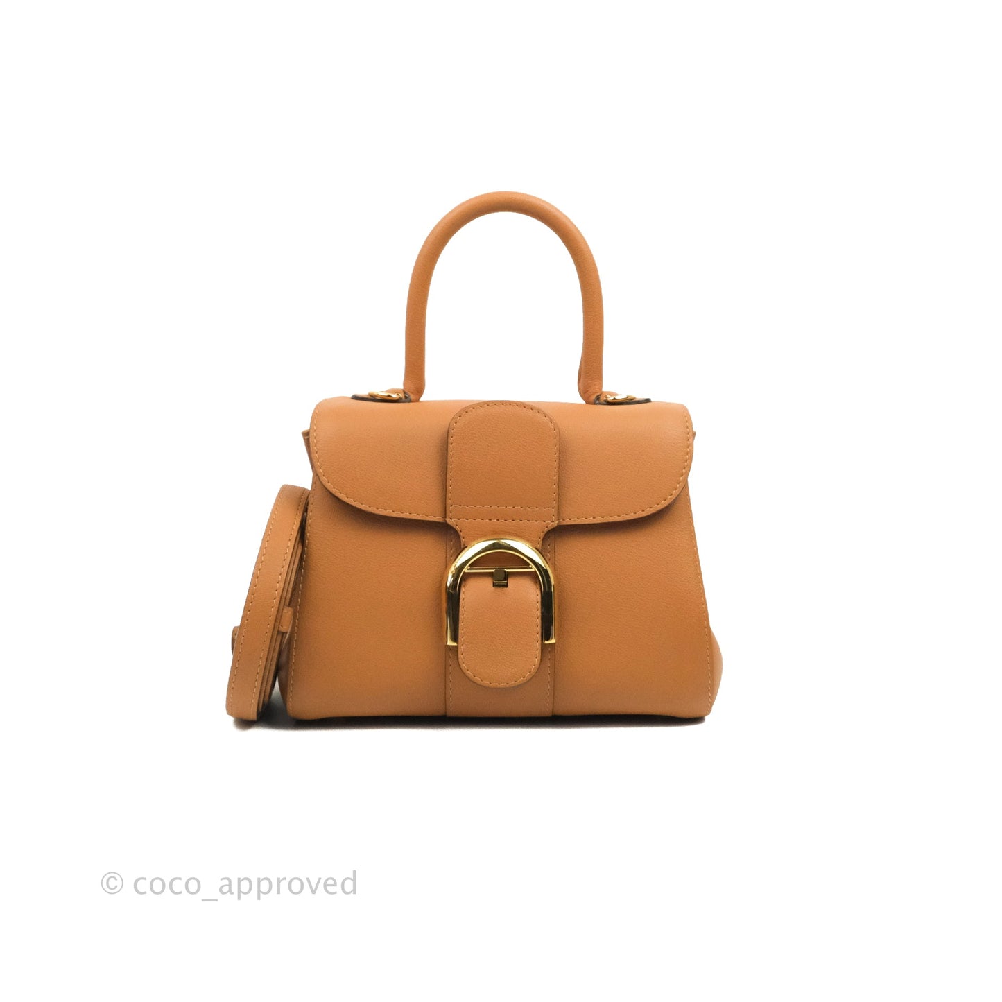 Delvaux Mini Brillant Bag Vegetal Rodeo Calf Gold Hardware