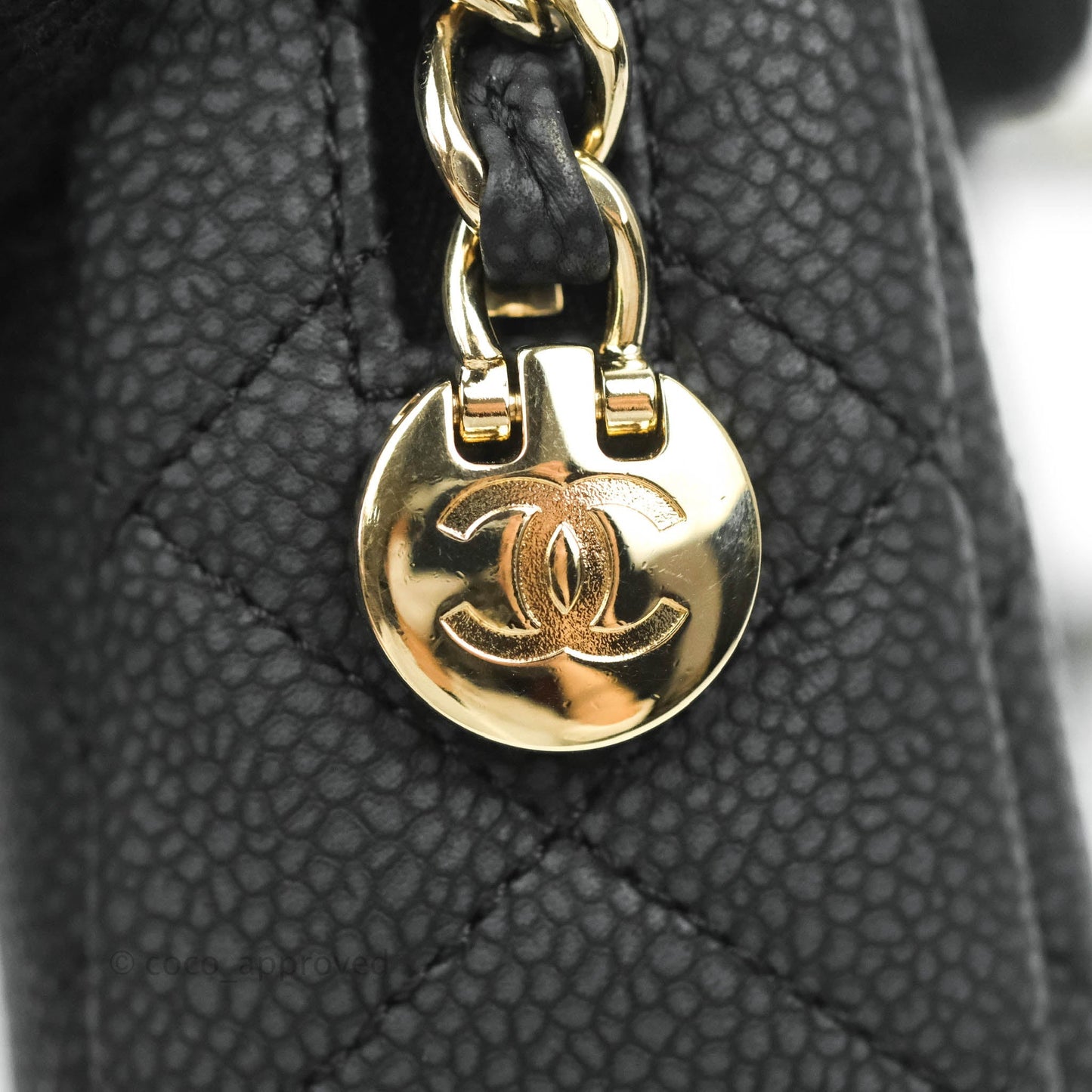 Chanel Camera Bag Black Caviar Gold Hardware