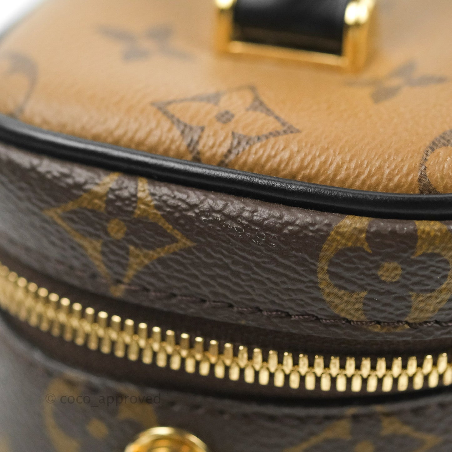 Louis Vuitton Reverse Monogram Vanity PM