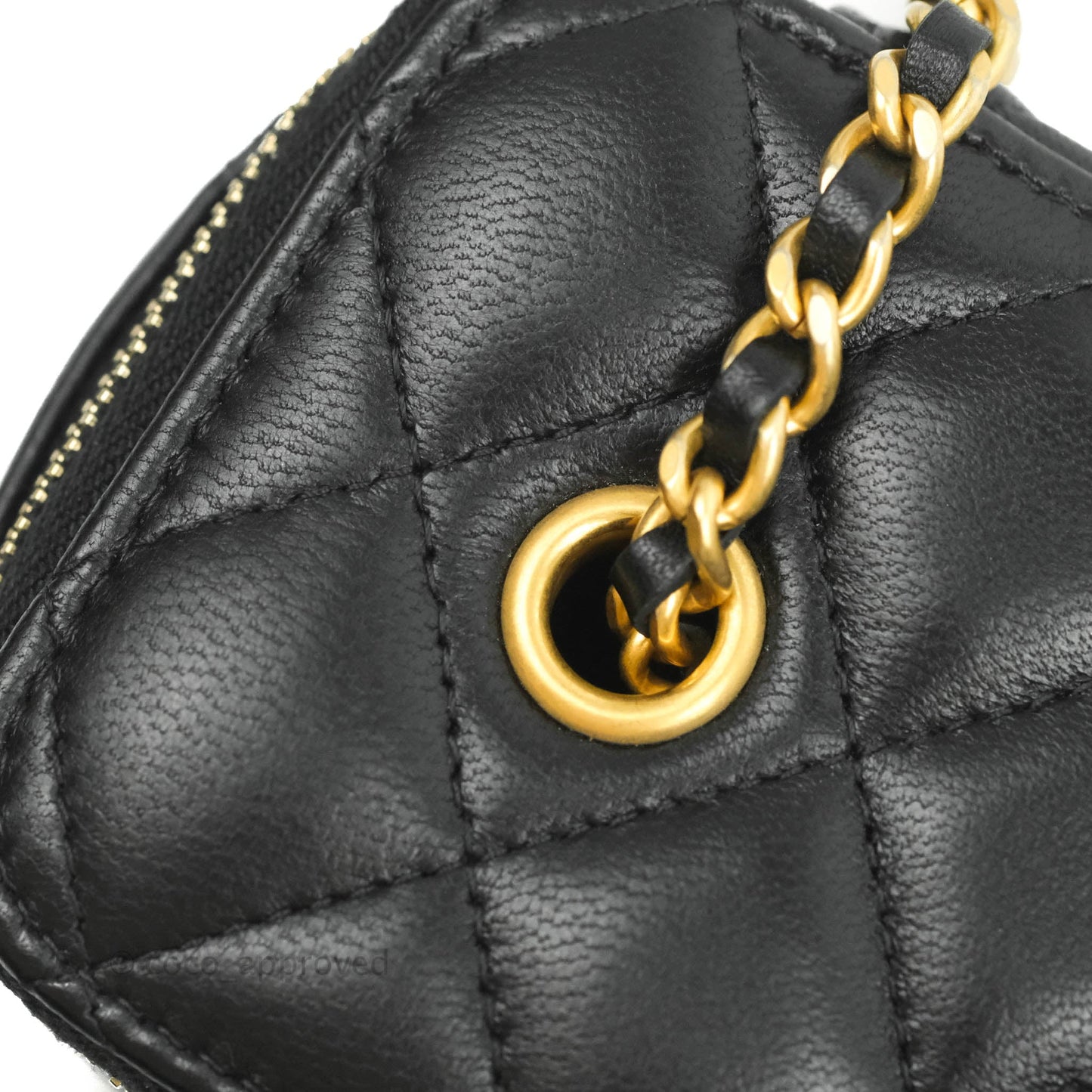 Chanel Vanity with Pearl Crush Chain in Black Lambskin Aged Gold Hardware