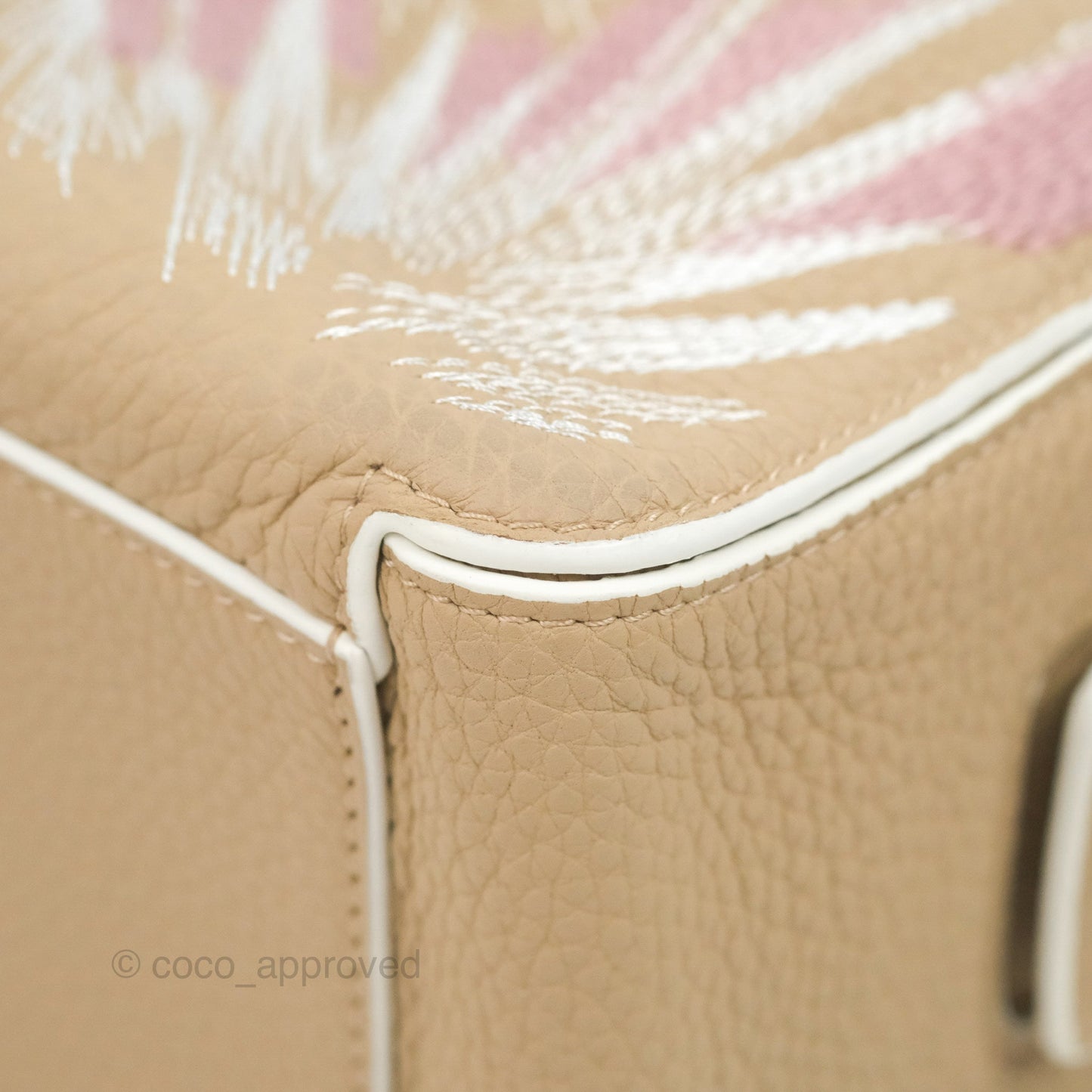 Delvaux Cool Box Mini Taurillon Soft Grained Calfskin Sand Broderies