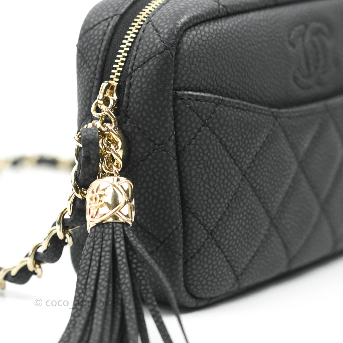 Chanel Camera Bag Black Caviar Gold Hardware