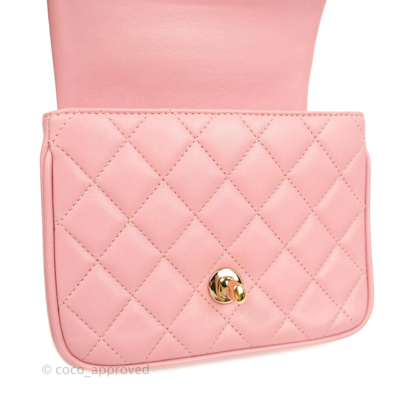 Chanel Citizen Chic Mini Flap Bag Pink Lambskin Gold Hardware