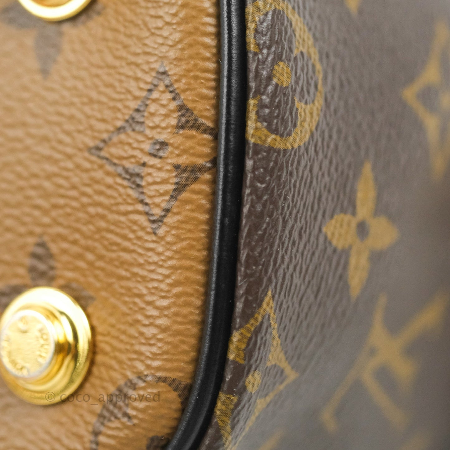 Louis Vuitton Reverse Monogram Vanity PM