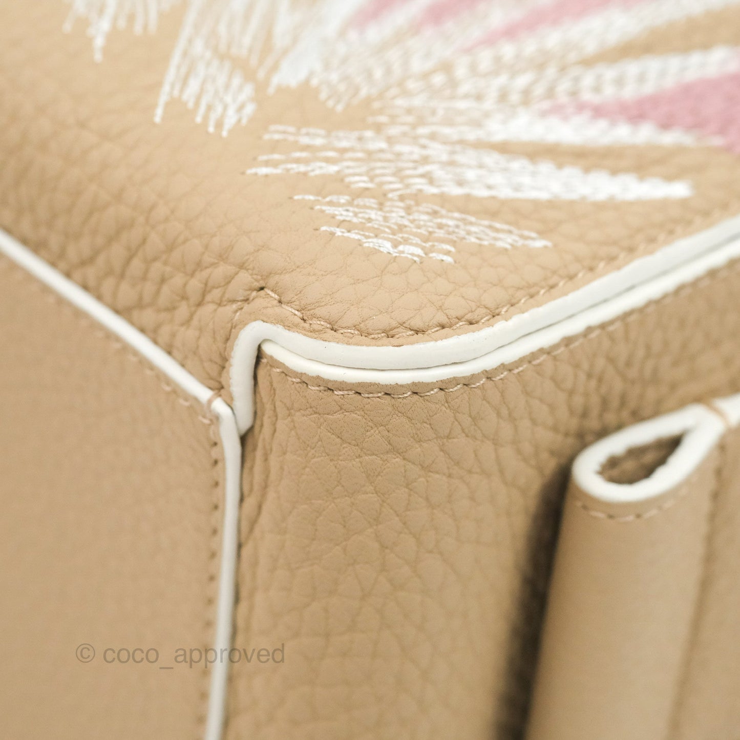 Delvaux Cool Box Mini Taurillon Soft Grained Calfskin Sand Broderies