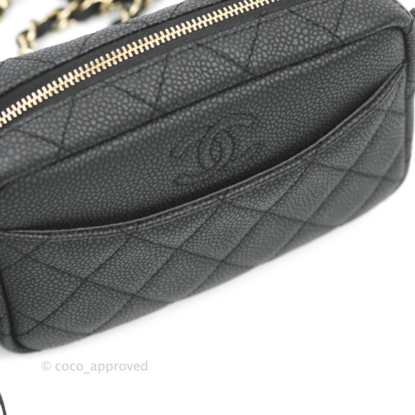 Chanel Camera Bag Black Caviar Gold Hardware