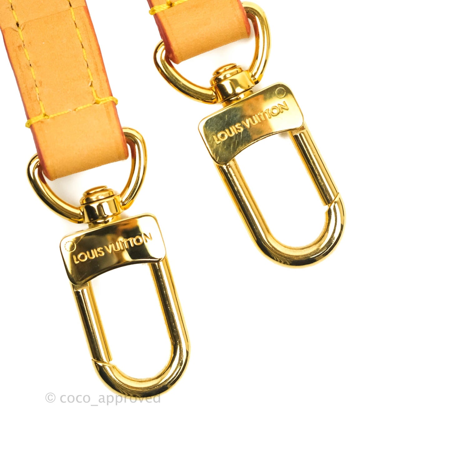 Louis Vuitton Diane Satchel Monogram Canvas with Jacquard Strap