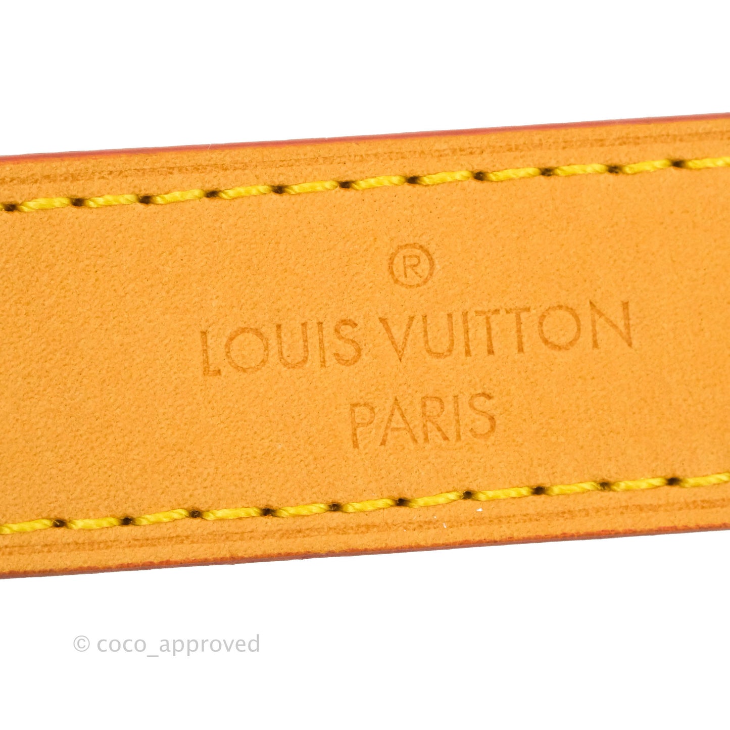 Louis Vuitton Diane Satchel Monogram Canvas with Jacquard Strap