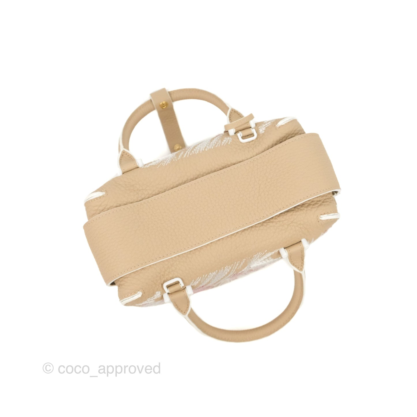 Delvaux Cool Box Mini Taurillon Soft Grained Calfskin Sand Broderies