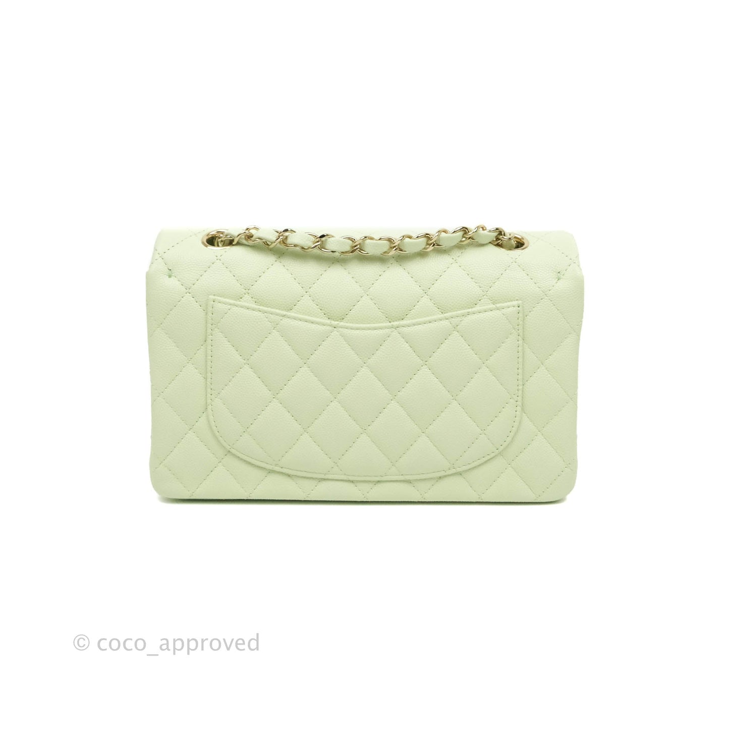 Chanel Small Quilted Classic Flap Mint Green Caviar Gold Hardware 22C