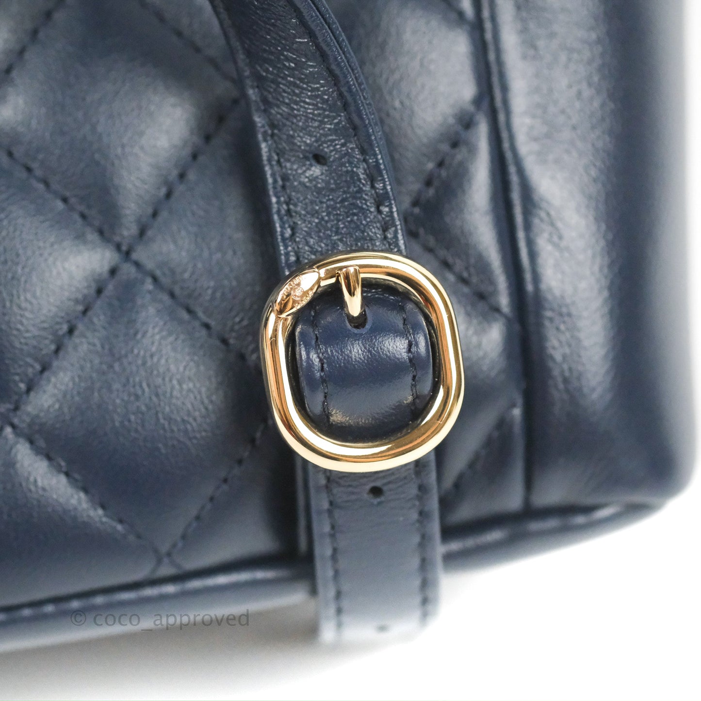 Chanel Duma Backpack Medium Navy Calfskin Gold Hardware 23P