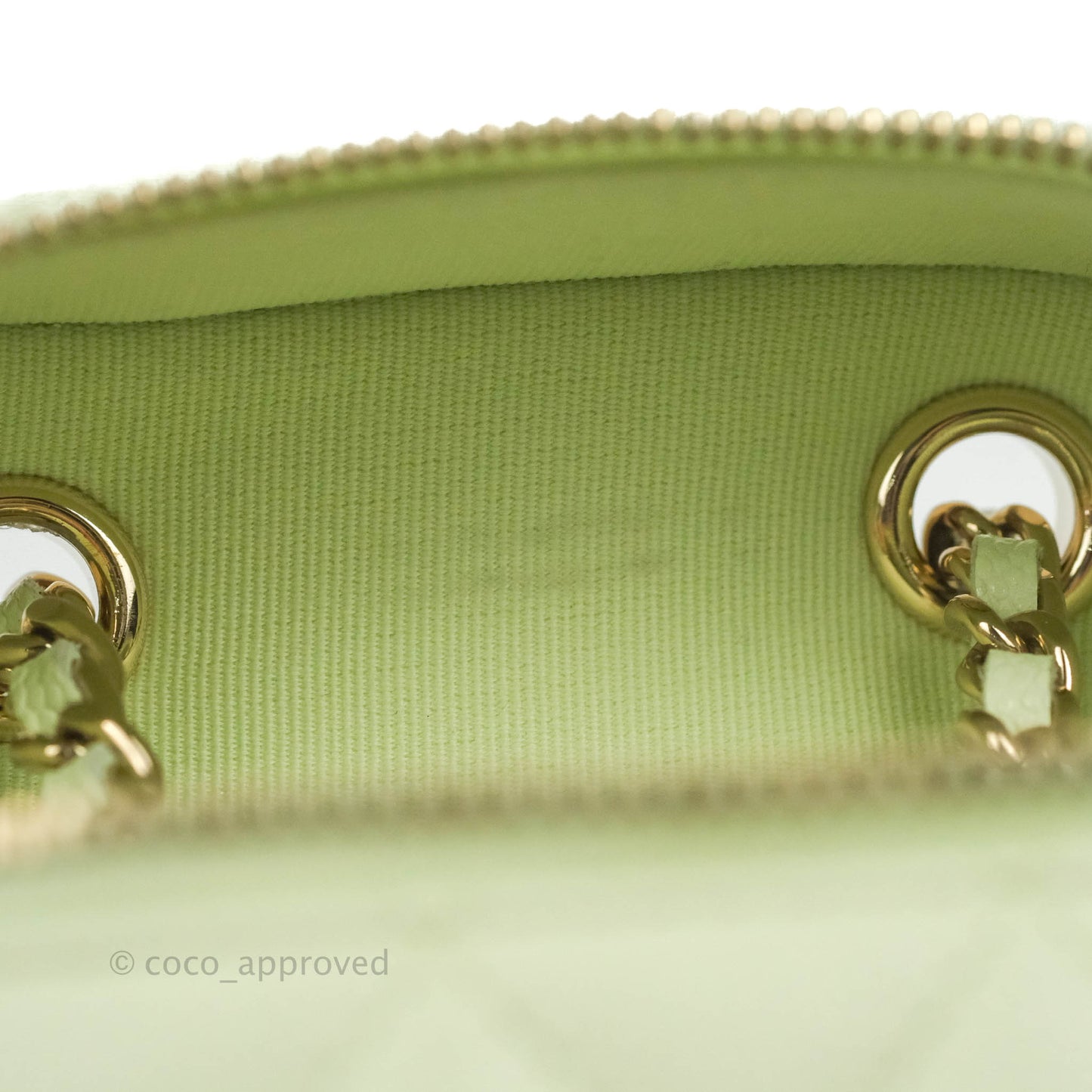 Chanel Vanity Phone Holder With Chain Light Mint Green Caviar Gold Hardware