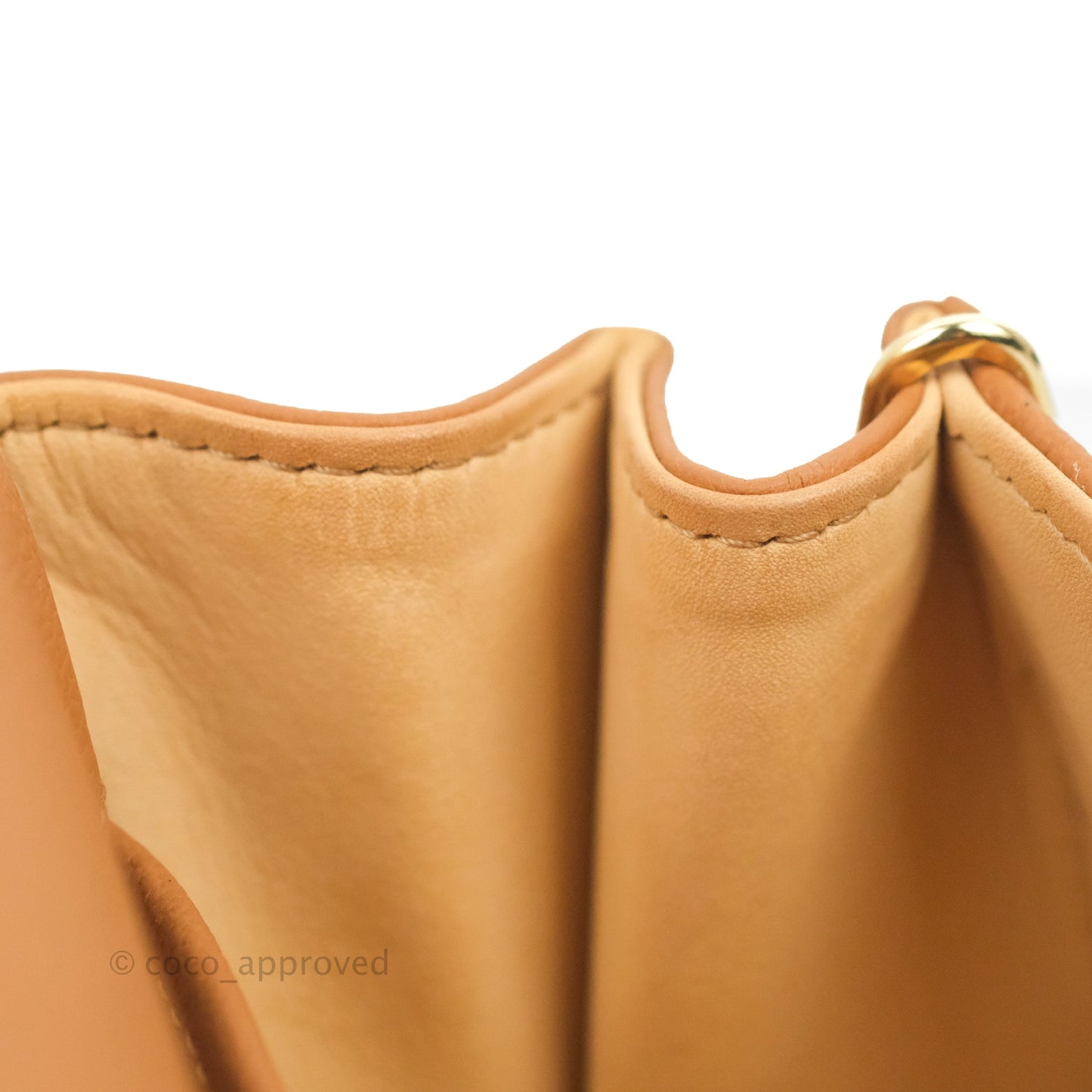 Delvaux Mini Brillant Bag Vegetal Rodeo Calf Gold Hardware
