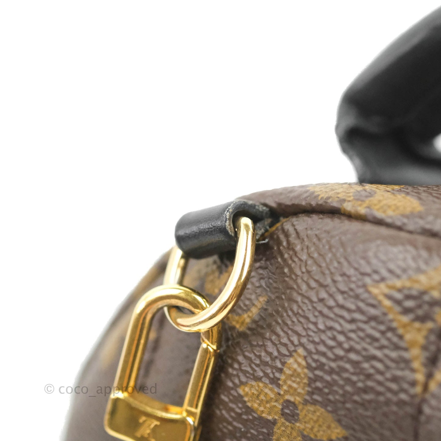 Louis Vuitton Monogram Mini Palm Springs Backpack⁣