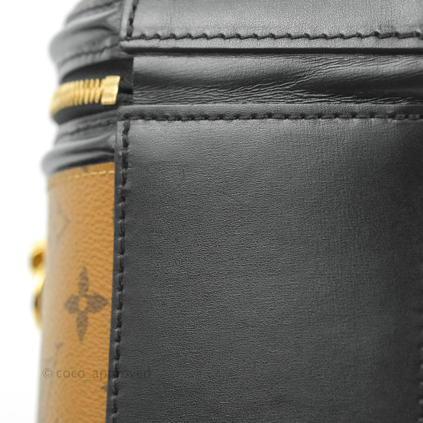 Louis Vuitton Monogram Canvas Reverse Cannes Bag