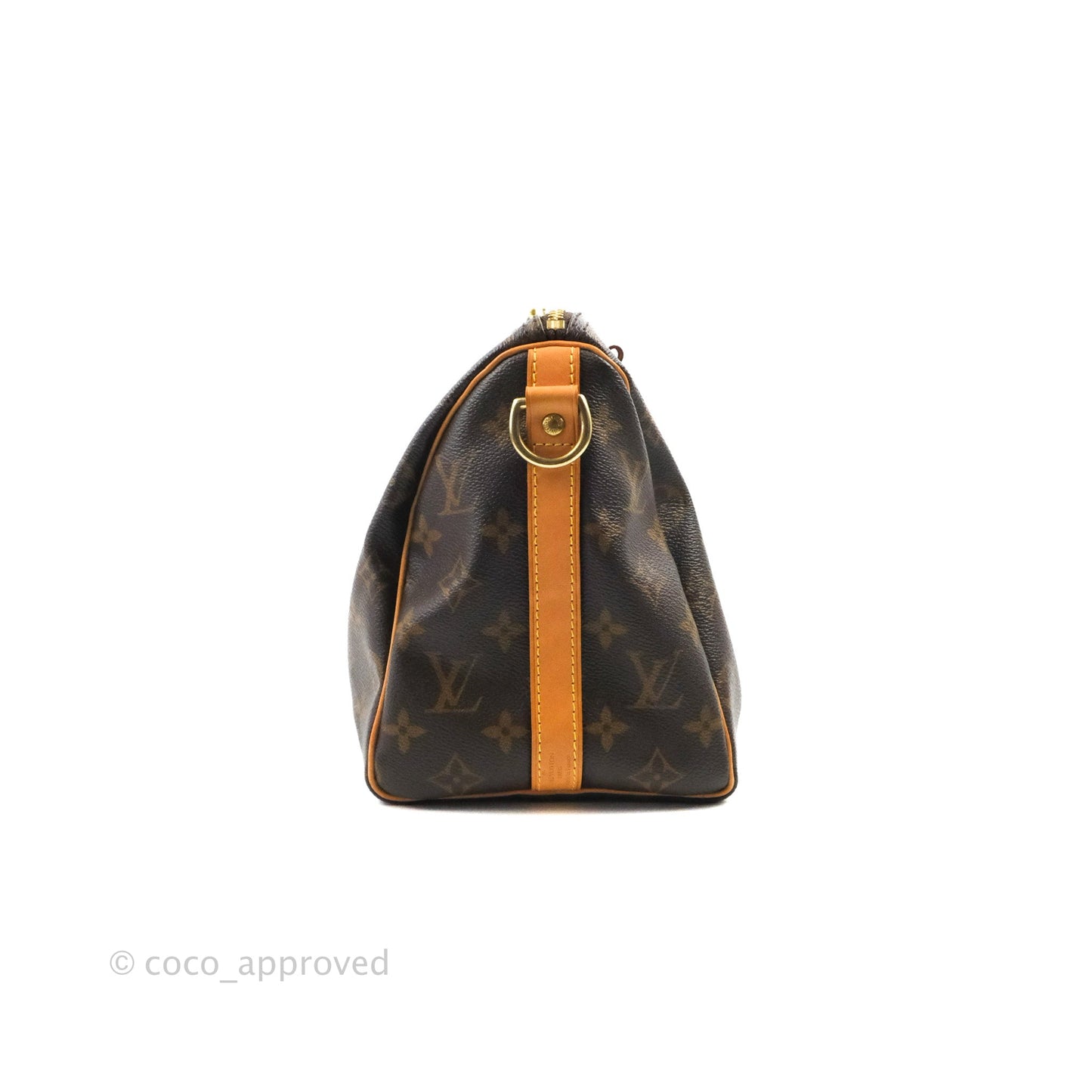 Louis Vuitton Speedy 25 Monogram Canvas
