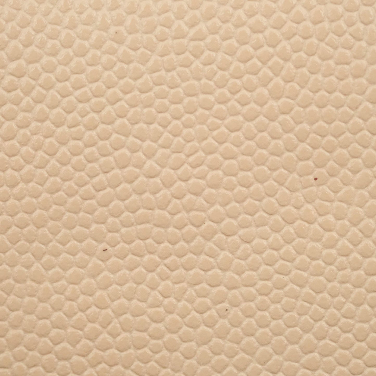 Chanel Vanity with Classic Chain Light Beige Caviar Gold Hardware 22C