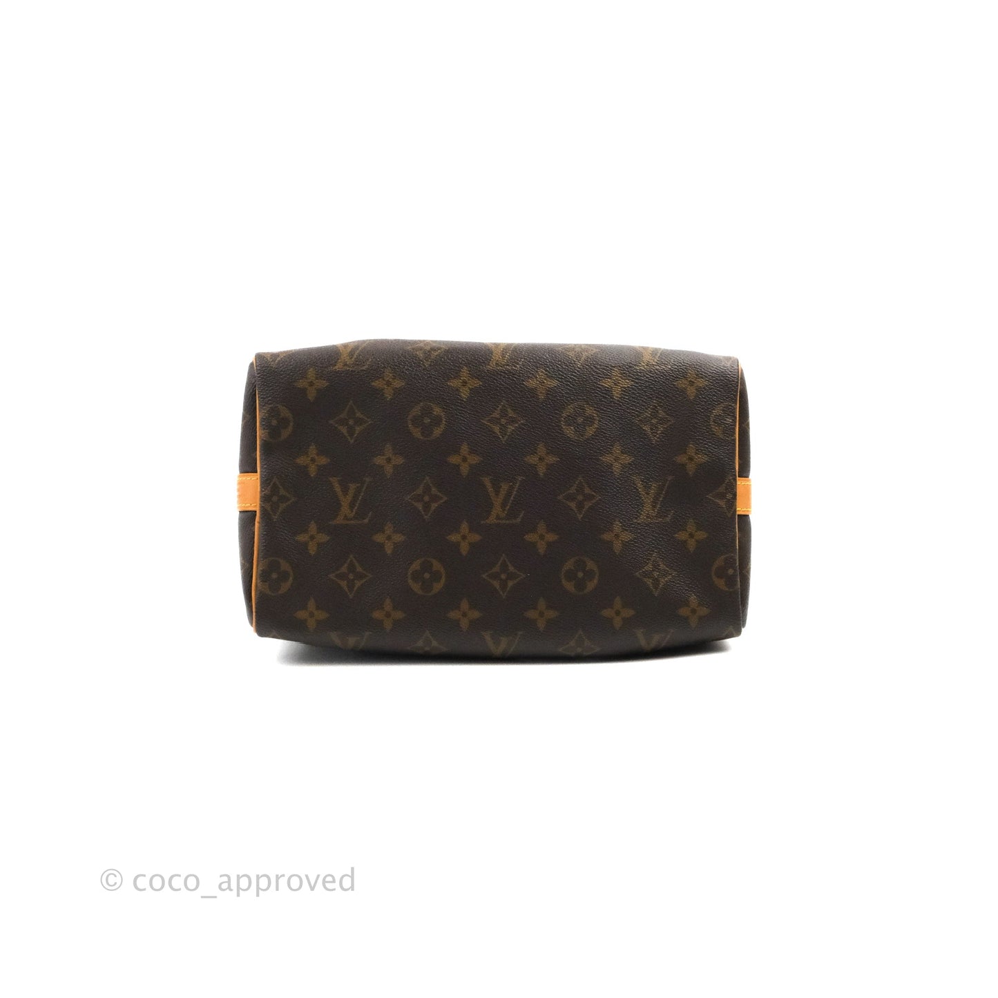 Louis Vuitton Speedy 25 Monogram Canvas