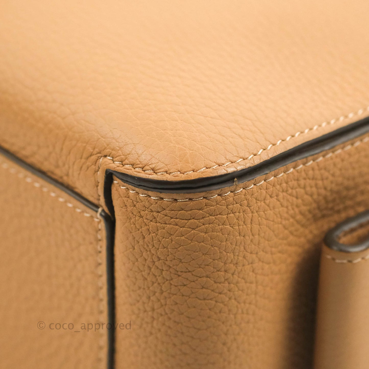 Delvaux Cool Box MM in Taurillon Soft Grained Calfskin Vegetal Ivory Gold Hardware