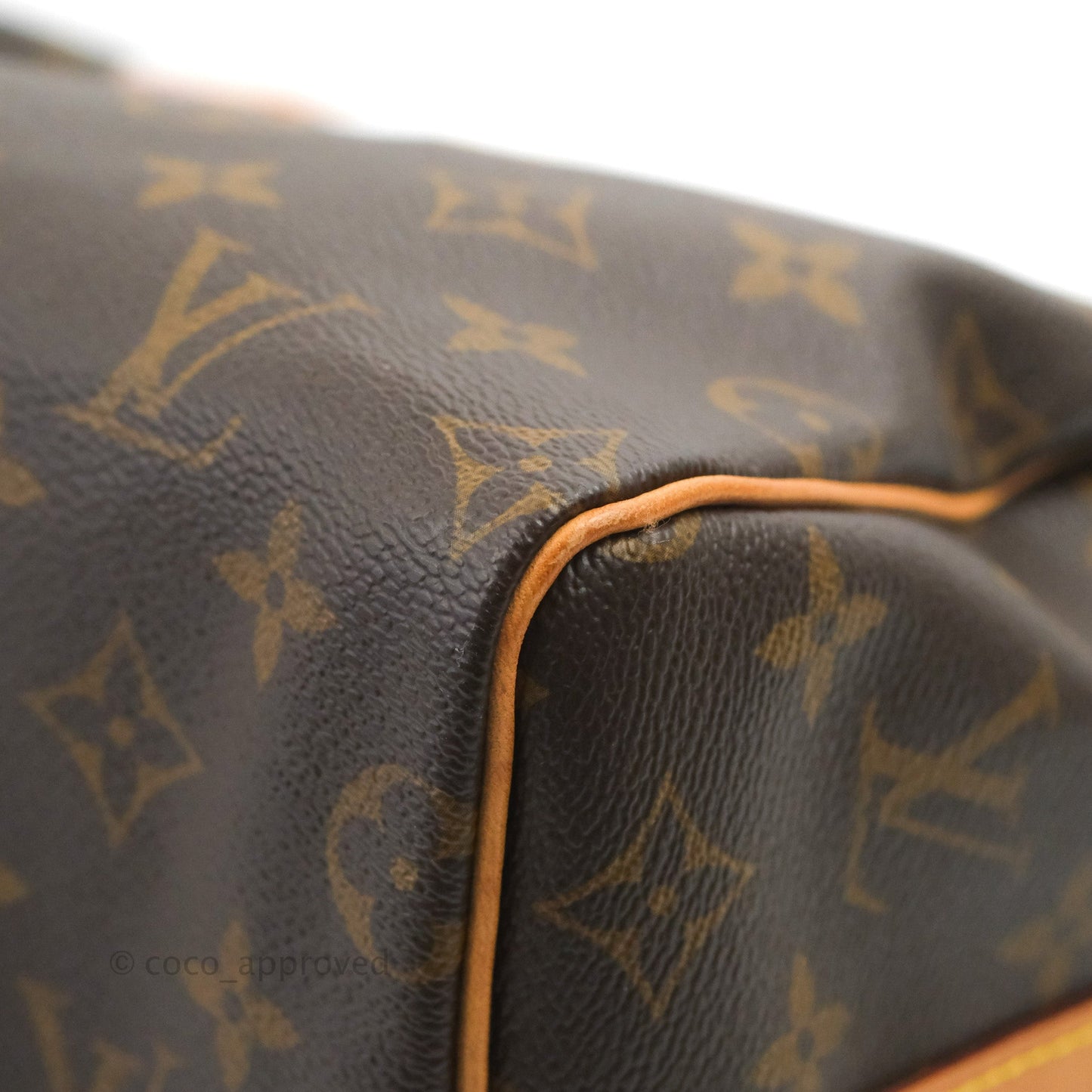 Louis Vuitton Speedy 25 Monogram Canvas