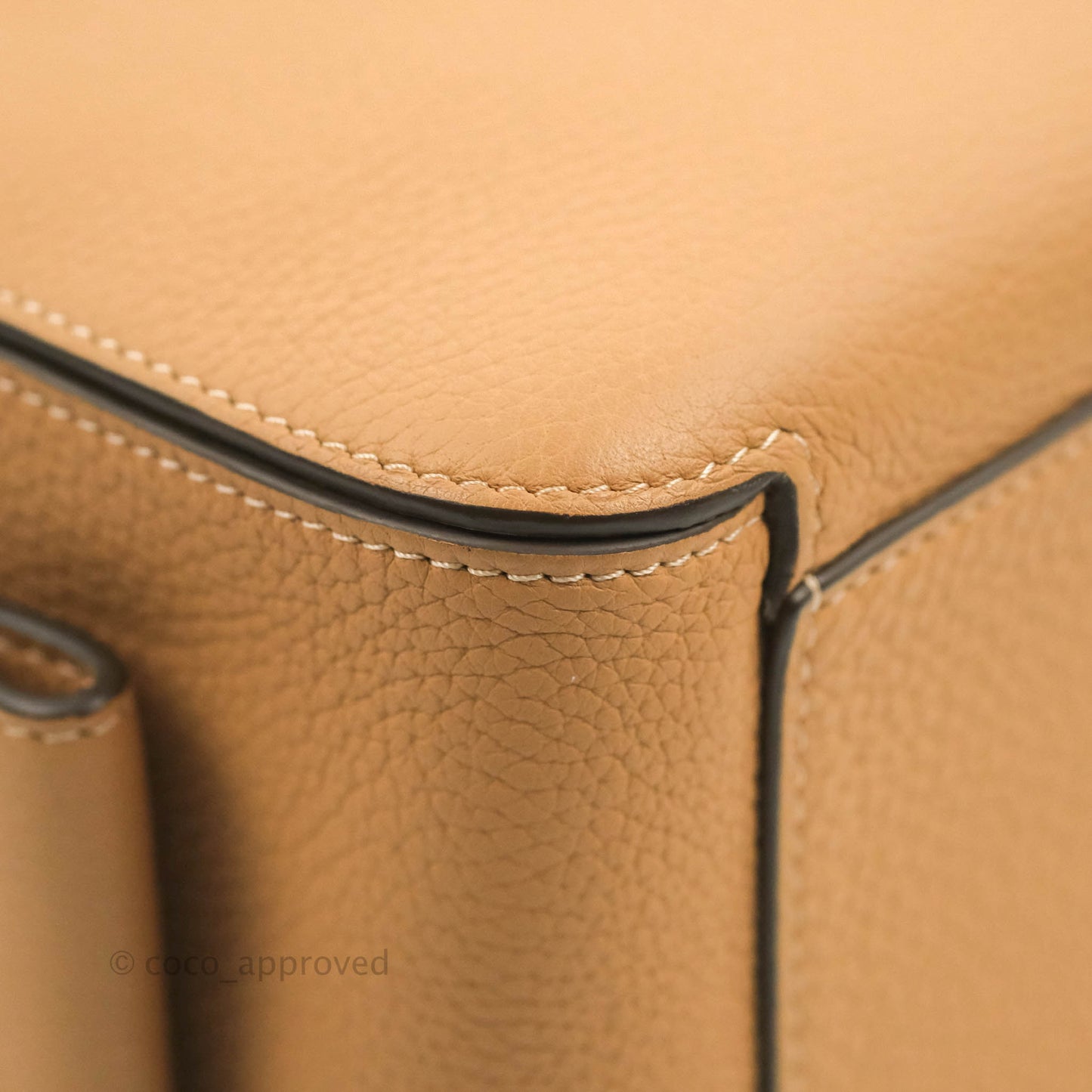 Delvaux Cool Box MM in Taurillon Soft Grained Calfskin Vegetal Ivory Gold Hardware