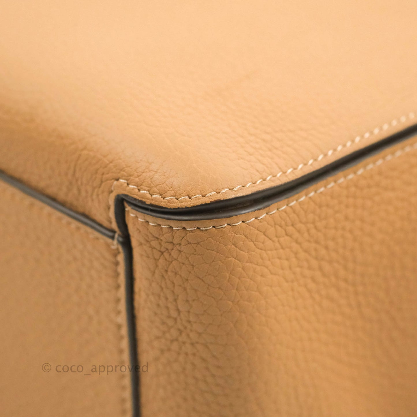 Delvaux Cool Box MM in Taurillon Soft Grained Calfskin Vegetal Ivory Gold Hardware