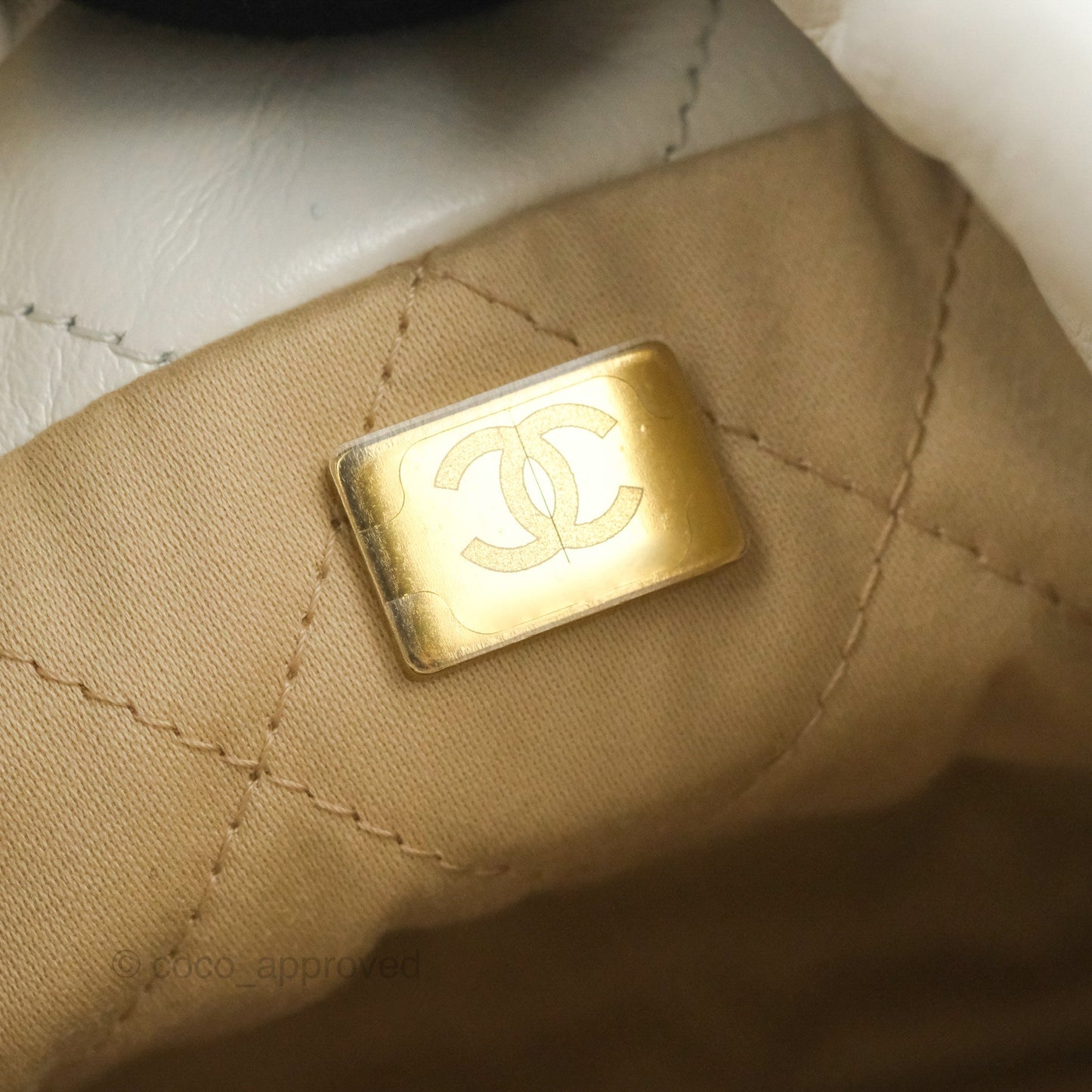 Chanel 22 Mini Bag White Crumpled Calfskin