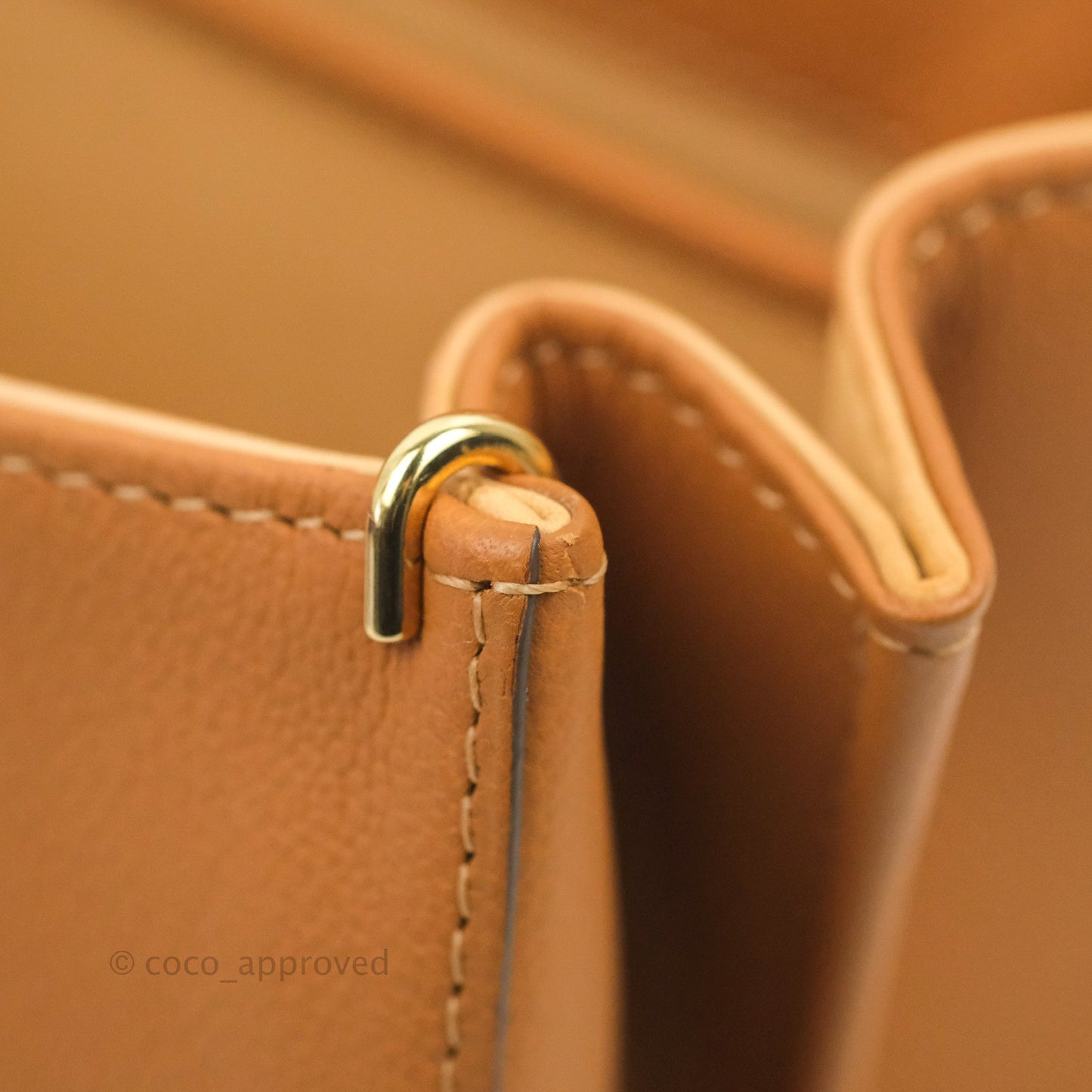 Delvaux Mini Brillant Bag Vegetal Rodeo Calf Gold Hardware
