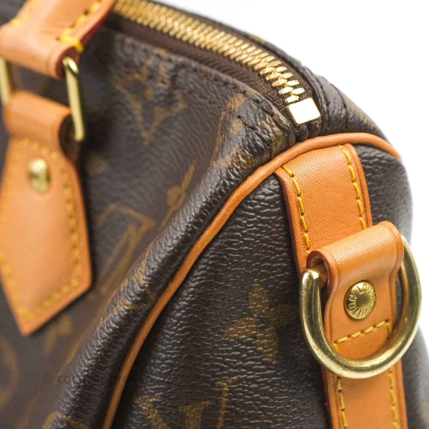 Louis Vuitton Speedy 25 Monogram Canvas