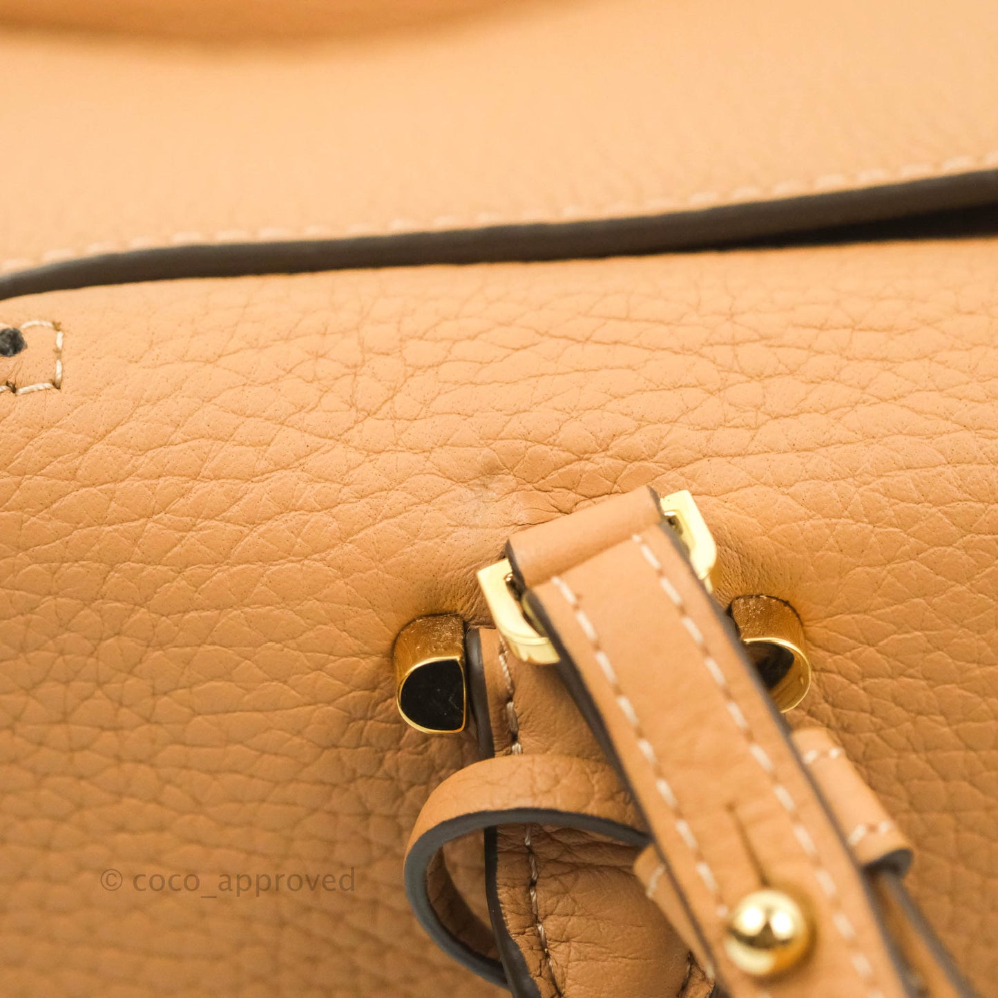 Delvaux Cool Box MM in Taurillon Soft Grained Calfskin Vegetal Ivory Gold Hardware